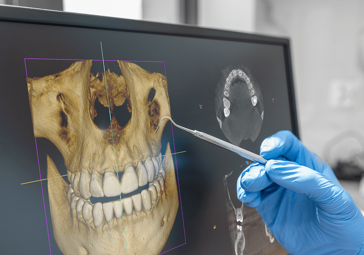 これはダミーテキストです。