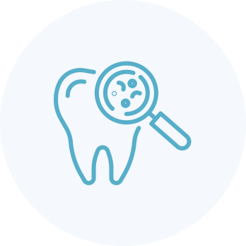 ダミーテキスト